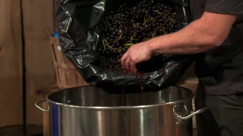 I am making grappa as traditional I can