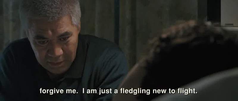 I am only a fledgling new to flight