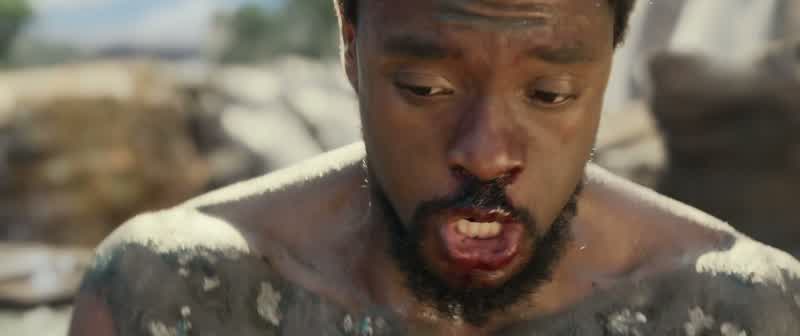 I am Prince T'Challa