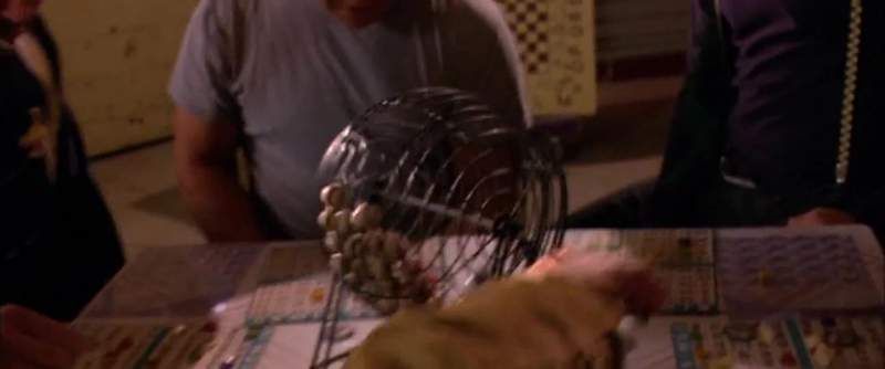 I am the God of bingo