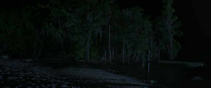 I am the marsh now
