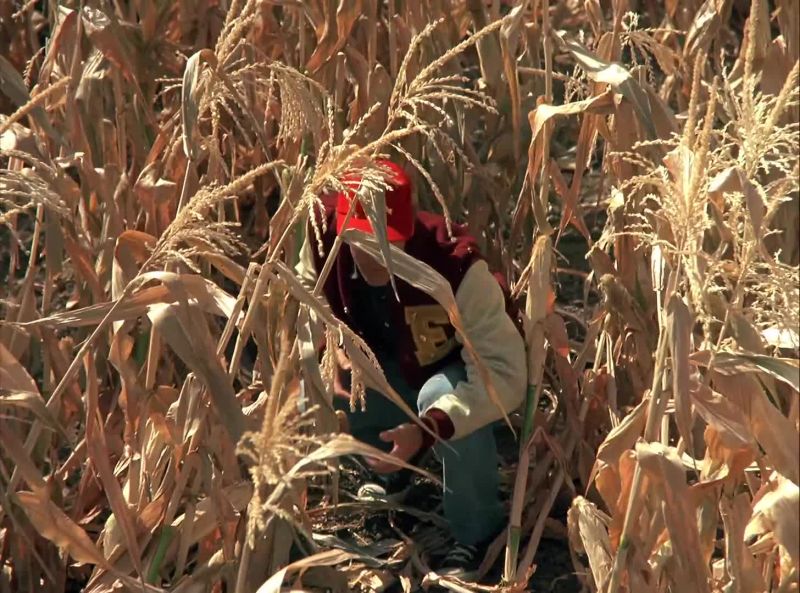 And where there's seed corn
