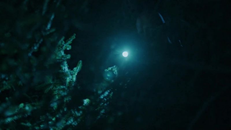 Any sign? - Nothing