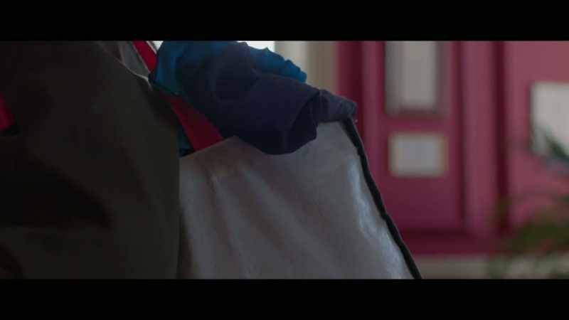 I arrive at the palace with my huge bag