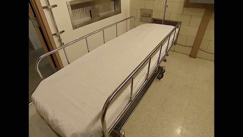 I attended the execution as an official state witness