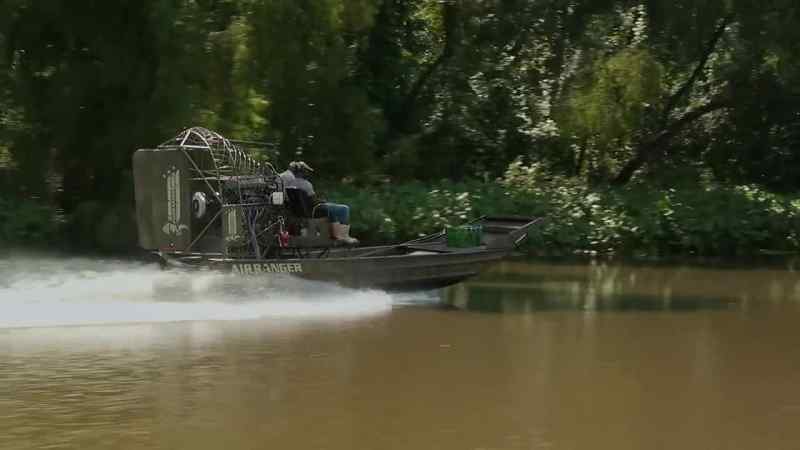 Back in Bayou Benoit
