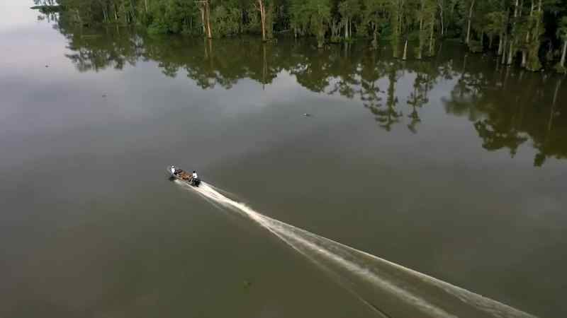 Back in Bayou Cache