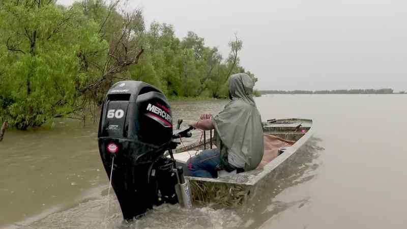 Back in Bayou Cache