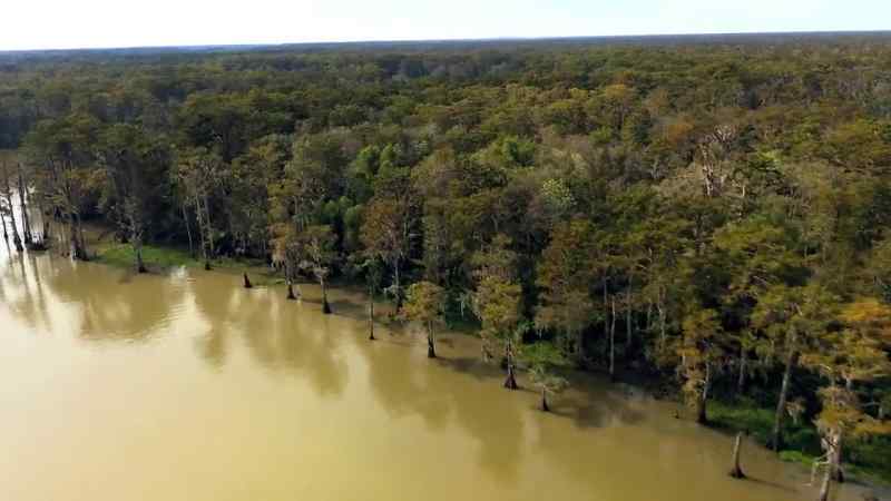 Back in bayou chene
