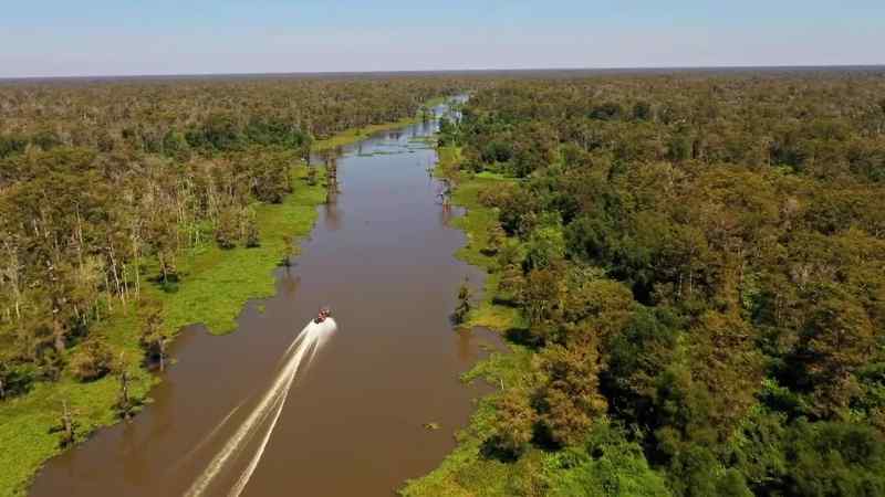 Back in Bayou Petit