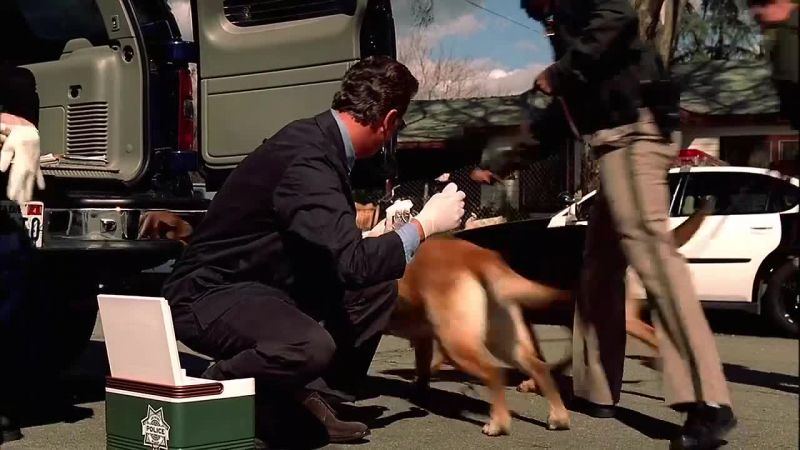 ( barking )