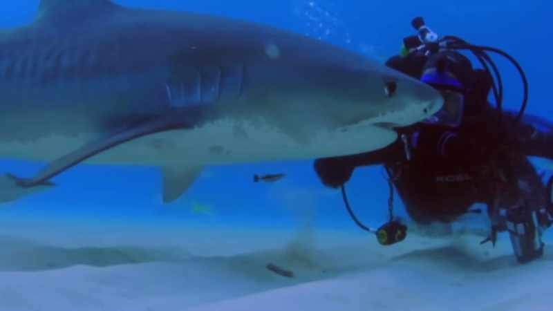 I believe the best thing that I can do for conservation