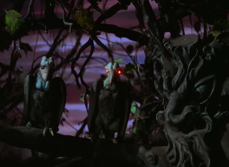 I believe there's spooks around here