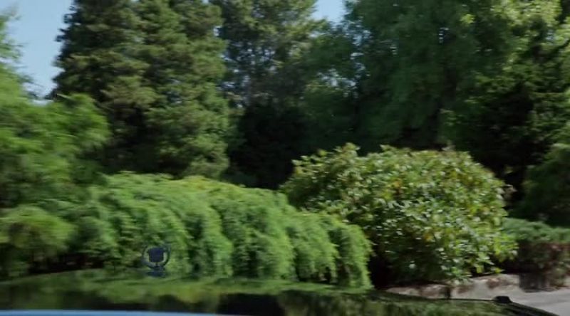 Belle: There. Right around the bend