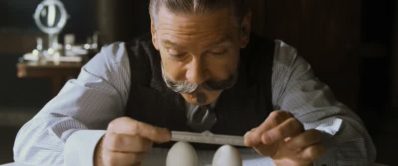 I blame the chicken