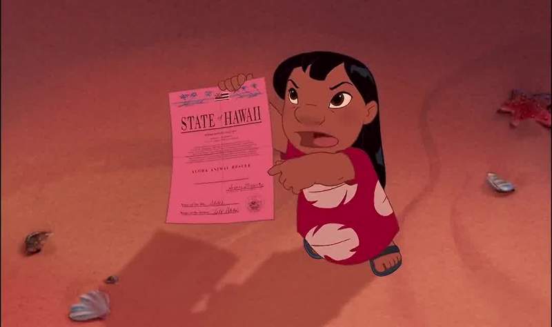 I bought Stitch at the shelter