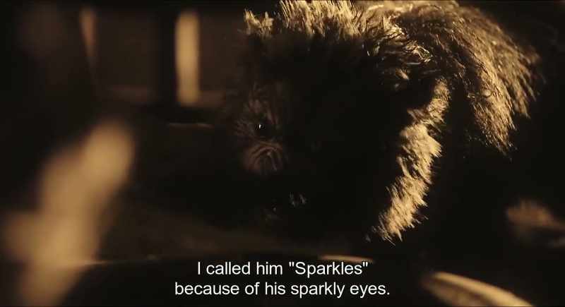 I called him 