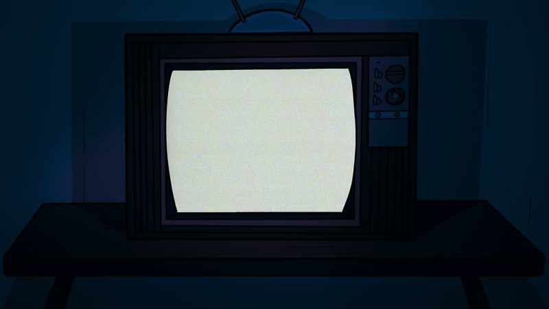 I came across Brandon on the television