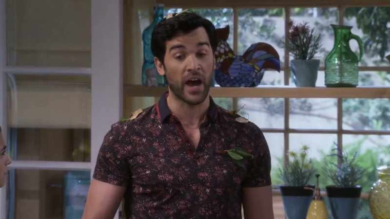 I can live without the zoo and the bears