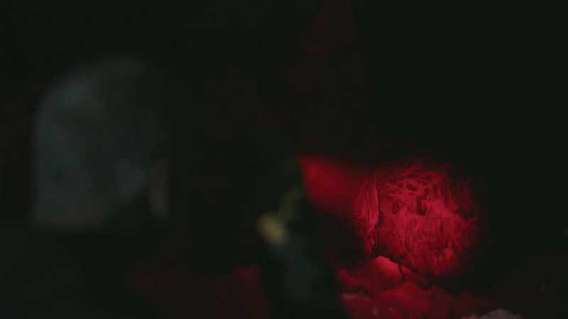 I can see whatever comes around that dark corner