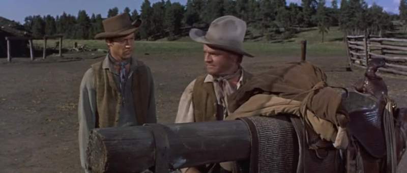 I can take the other horse and buggy