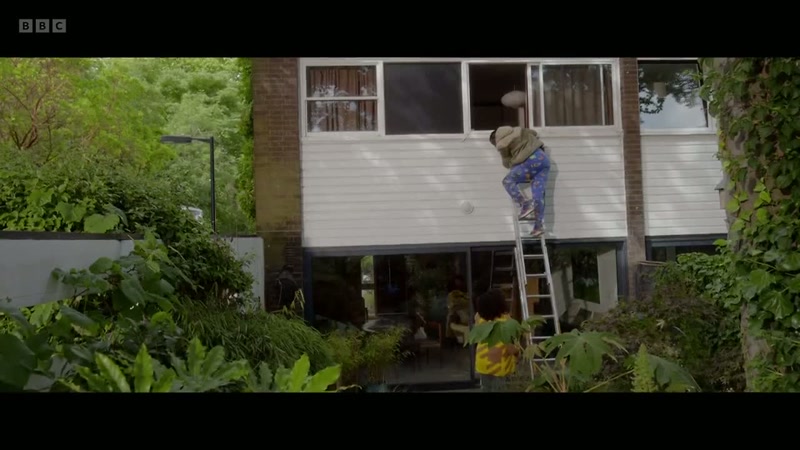 I cannot remove my hands from the ladder