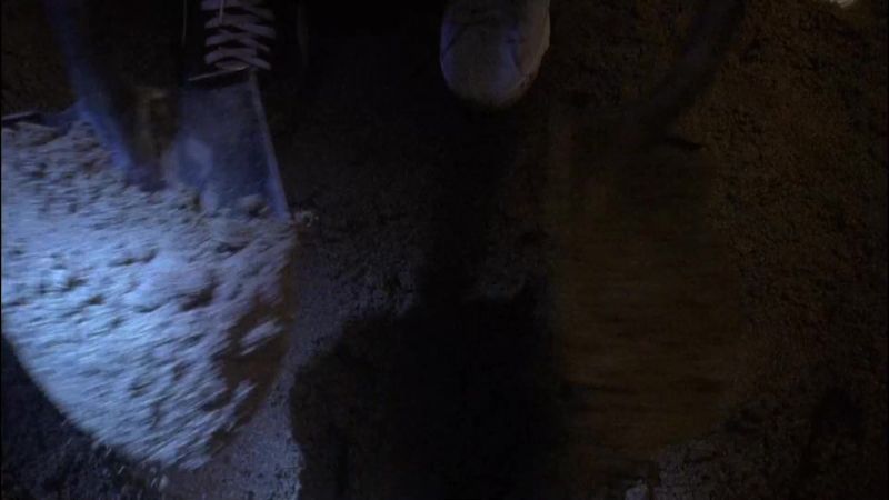 I can't believe we're actually digging for buried treasure