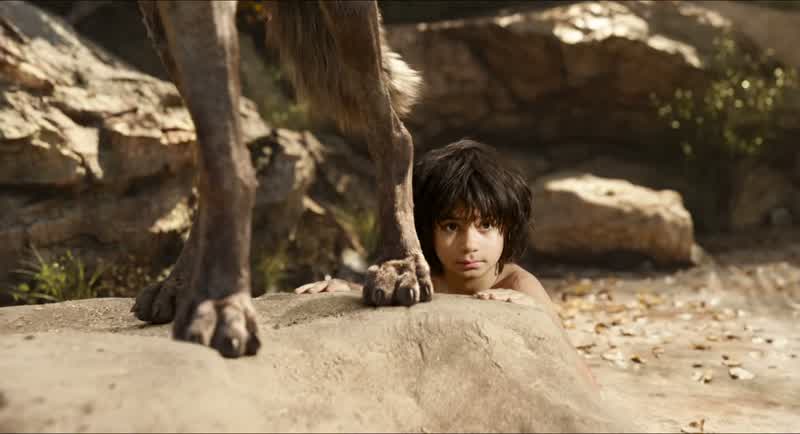 I can't help but notice