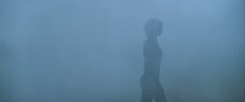 I can't see a damn thing