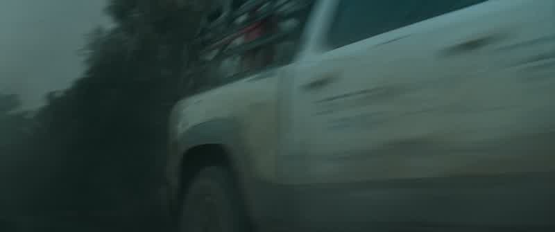 I can't see anything