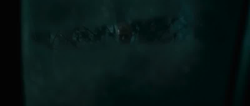 Come. Come with us