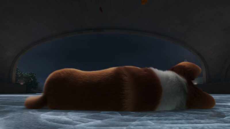 I was destined to be a top dog