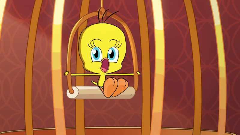 I did, I did taw a puddy tat!
