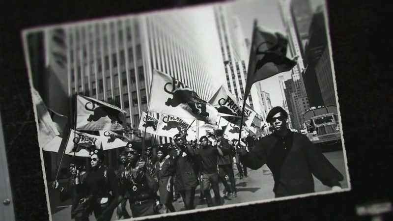 I did join the Panther party