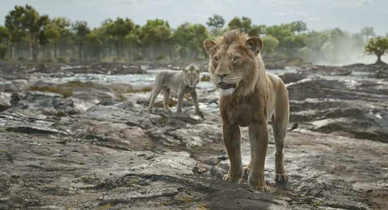 I did. This lion with me is nothing
