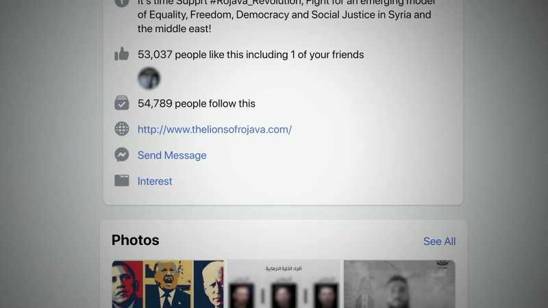 I discovered a page for The Lions of Rojava