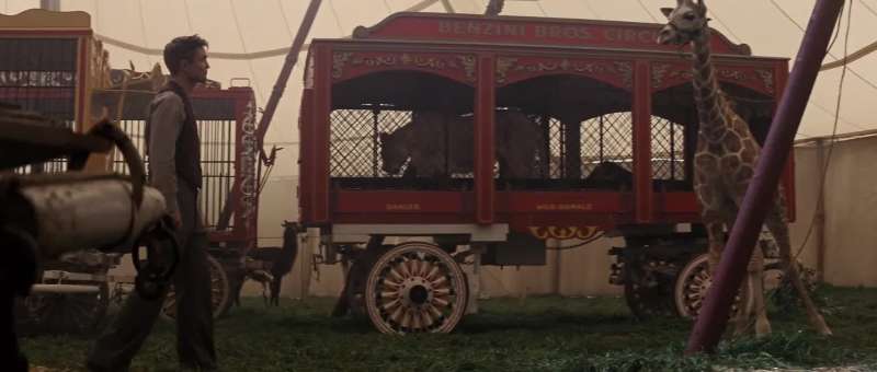 I do not know if that train me train if I have chosen