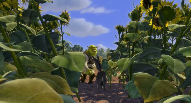 I don't get it Shrek Why didn't you just pull some old Ogre stuff on themYou know Grab his bones to make you brave You know the whole Ogre trickOh you know what Maybe I could have decapitated entire