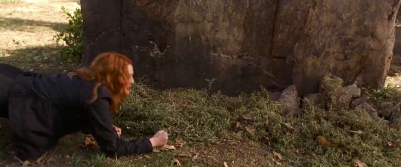 ''I don't know how to make chicken ''