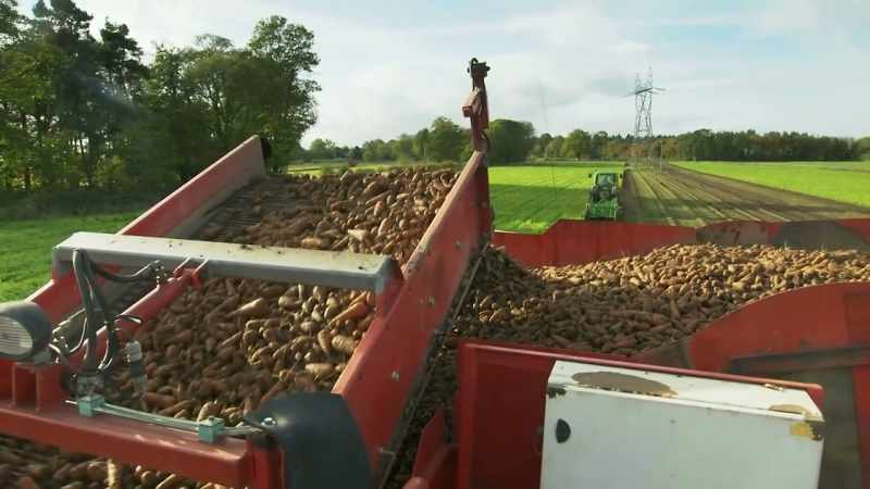 �� I don't know where all my carrots go ♪