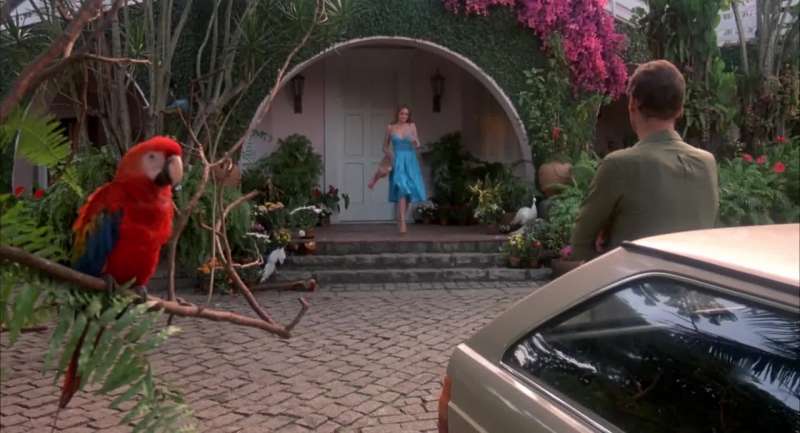 I don't know why some people can't get older