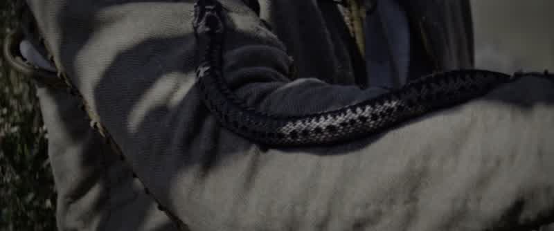 I don't like snakes