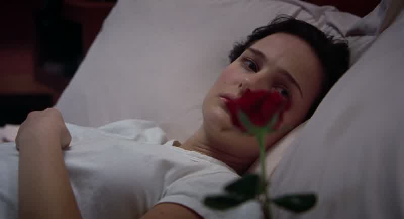 I don't love you anymore