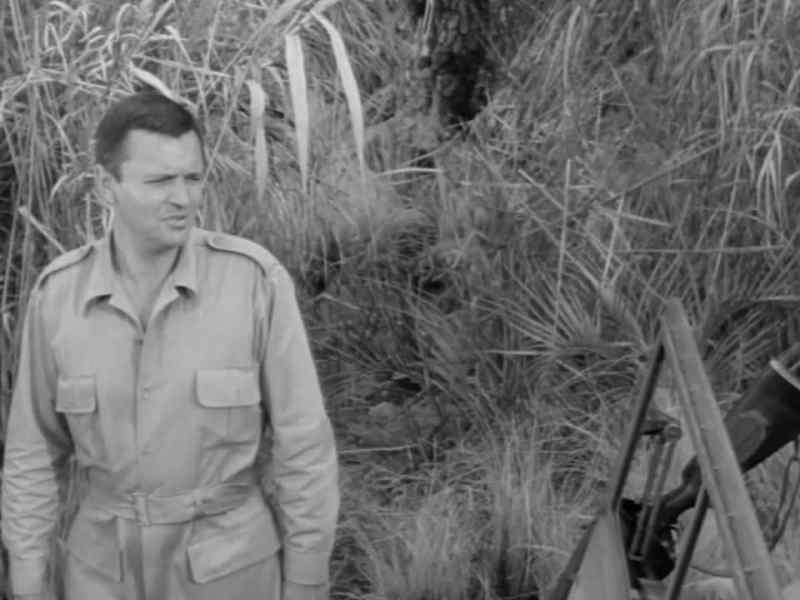 I don't see any Sukulu