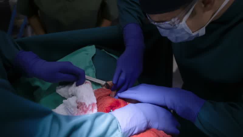 I don't see anything, Shaun