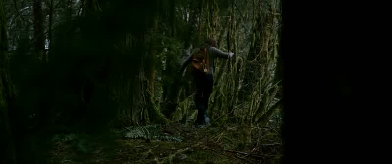 I don't see Edward anymore