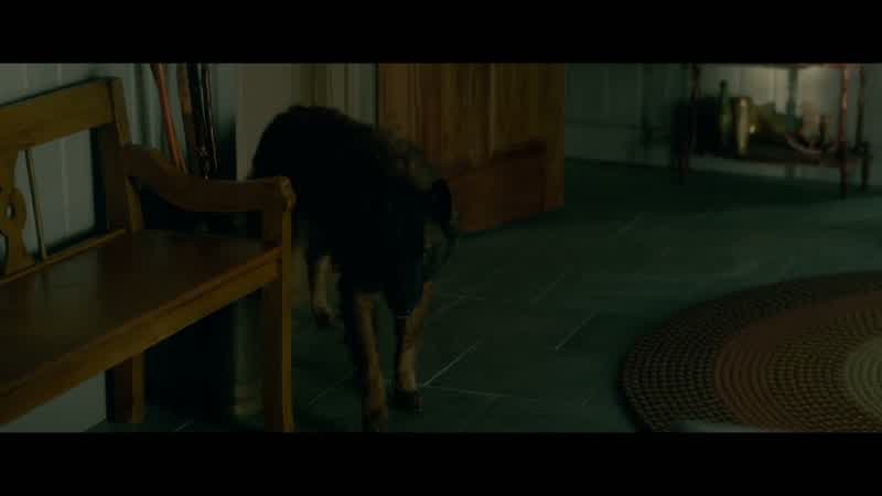 I don't suppose you're a rescue dog