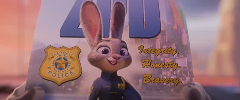 JUDY: Um, | don't understand