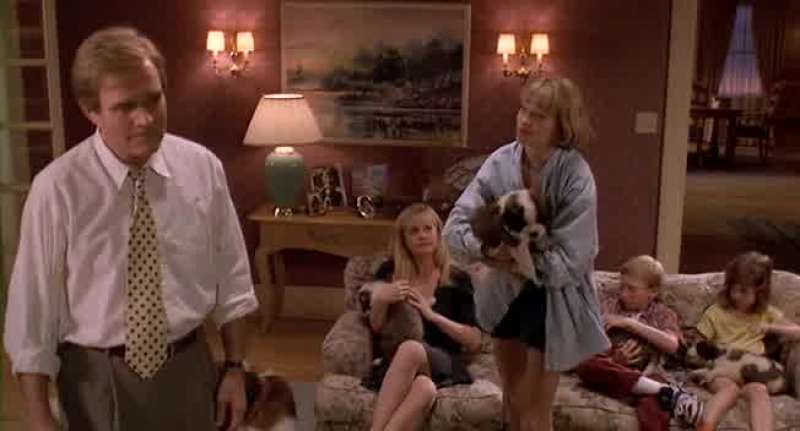 I don't want to be responsible for five dogs