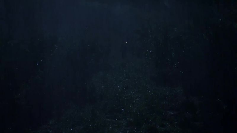 Elijah: Solomon!